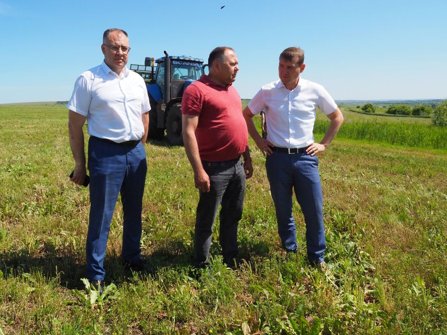 В РУЗАЕВСКОМ РАЙОНЕ ЗАВЕРШАЕТСЯ ПЕРВЫЙ УКОС.