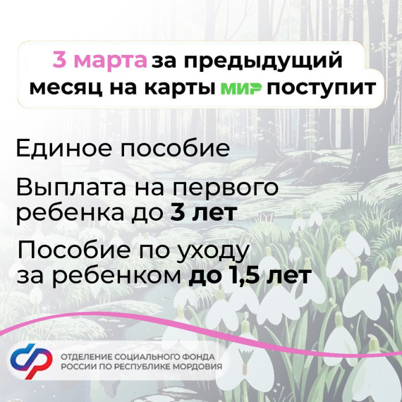 Выплаты детских пособий в Республике Мордовия в марте пройдут 3, 5 и 7 числа. Выплаты детских пособий в Республике Мордовия в марте пройдут 3, 5 и 7 числа.