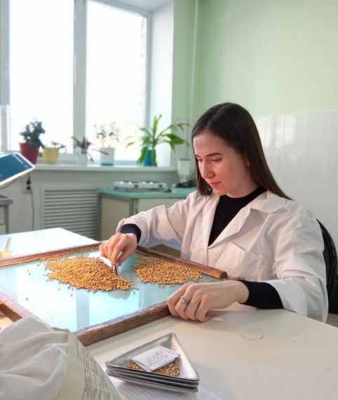 ПОД УРОЖАЙ 2023 ГОДА ПРОВЕРЕНО ПОЧТИ 47 ТЫСЯСЧ ТОНН СЕМЯН ОЗИМЫХ КУЛЬТУР. ПОД УРОЖАЙ 2023 ГОДА ПРОВЕРЕНО ПОЧТИ 47 ТЫСЯСЧ ТОНН СЕМЯН ОЗИМЫХ КУЛЬТУР.