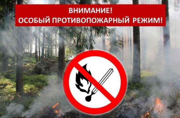 В РУЗАЕВСКОМ РАЙОНЕ С 29 МАЯ ОБЪЯВЛЕН ОСОБЫЙ ПРОТИВОПОЖАРНЫЙ РЕЖИМ. В РУЗАЕВСКОМ РАЙОНЕ С 29 МАЯ ОБЪЯВЛЕН ОСОБЫЙ ПРОТИВОПОЖАРНЫЙ РЕЖИМ.
