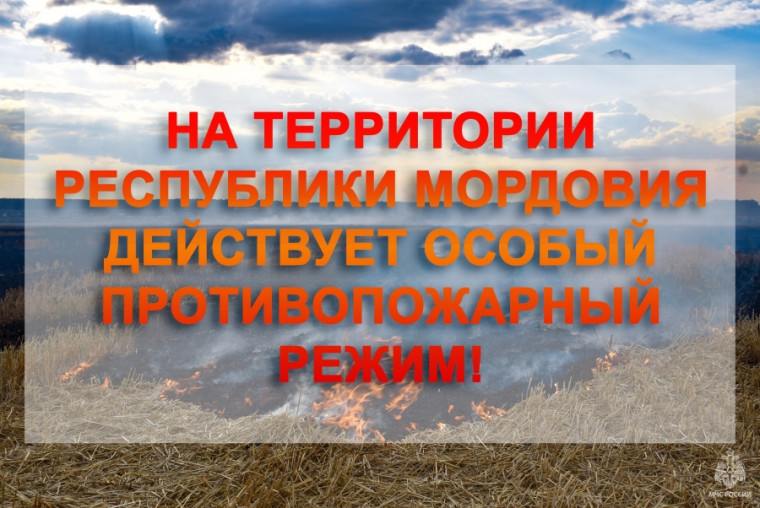 В МОРДОВИИ ДЕЙСТВУЕТ ОСОБЫЙ ПРОТИВОПОЖАРНЫЙ РЕЖИМ. В МОРДОВИИ ДЕЙСТВУЕТ ОСОБЫЙ ПРОТИВОПОЖАРНЫЙ РЕЖИМ.